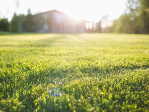 地積規模の大きな宅地とは　評価方法と注意点を確認