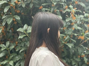 だみあんはやし