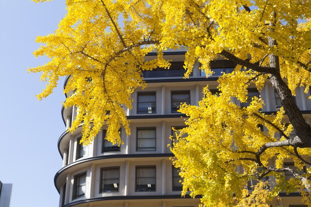 「新卒入社」と「中途入社」どちらも満足度が高い企業 ジョンソン・エンド・ジョンソンを超えた1位は？｜まいどなニュース