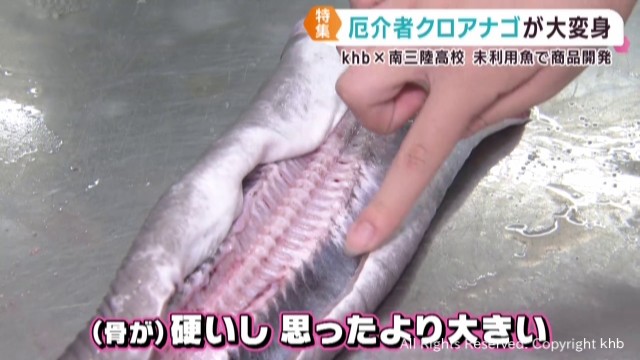 未利用魚を下処理