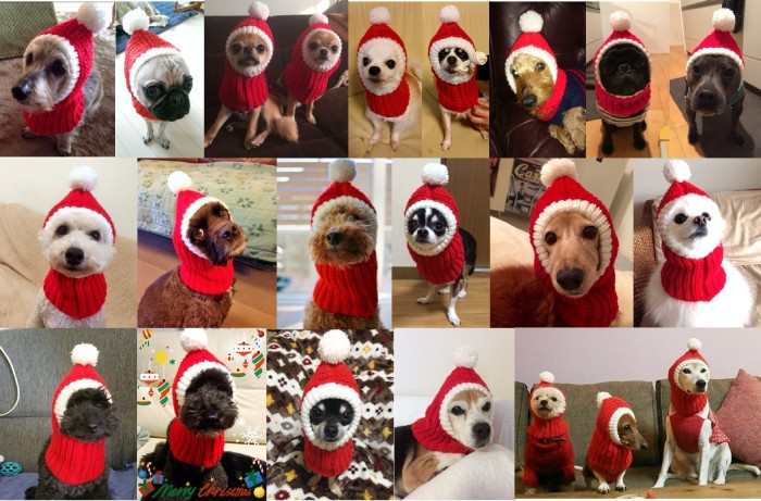 INUTO。毎年すぐ売り切れてしまうニット帽。家族みんなで笑顔になれるアイテム（わんちゃんはほんの少しだけ我慢してね！）