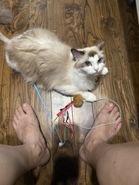おもちゃを持ってきて遊んでとお願いする様子（宮尾さん提供）