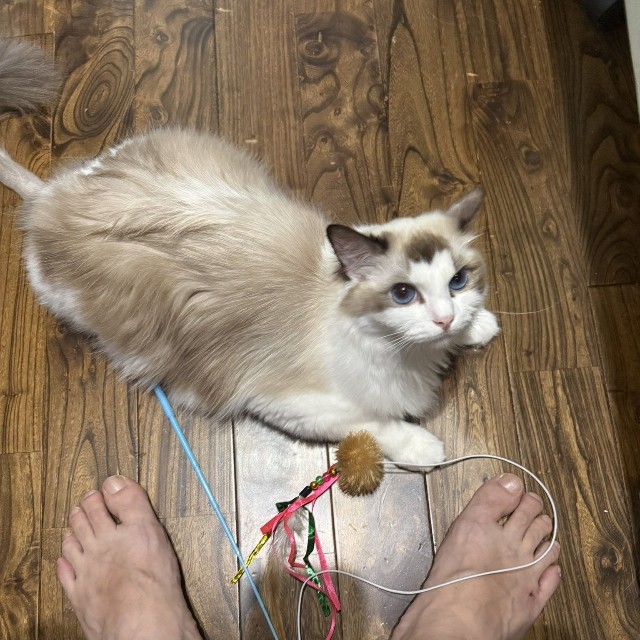おもちゃを持ってきて遊んでとお願いする様子（宮尾さん提供）