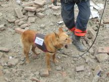 ネパールに飛んだ夢之丞