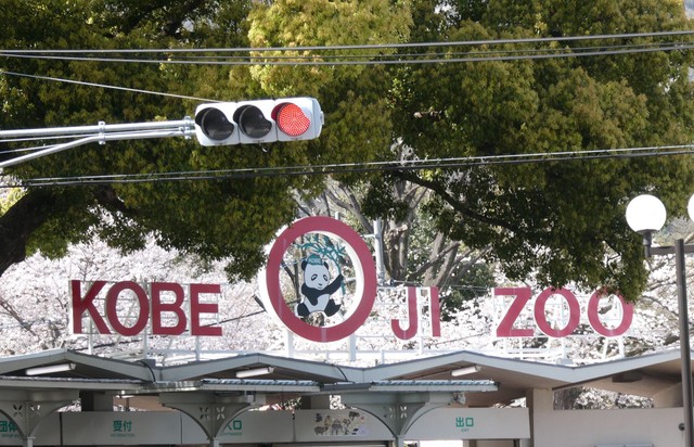 王子動物園 2023.3