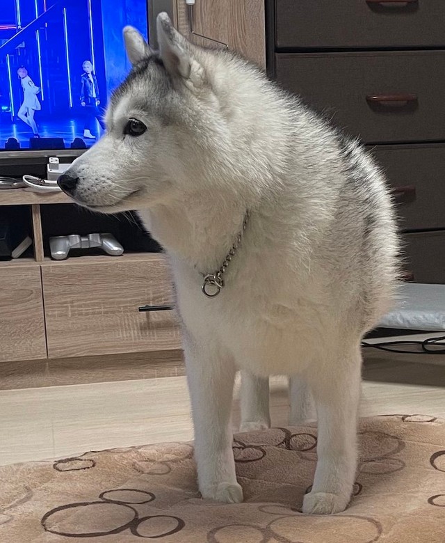 内股可愛いね♡（提供：ハマジさん）