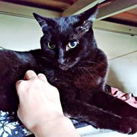 お腹もみもみされる実陽くん（画像提供：秋十空さん）