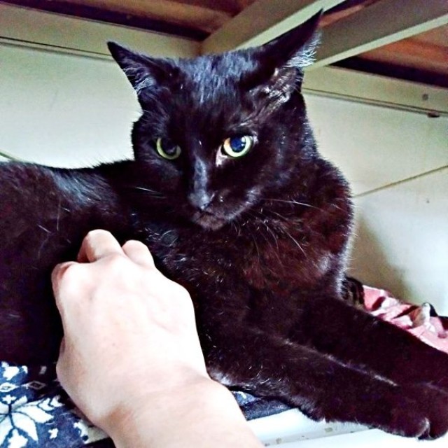 お腹もみもみされる実陽くん（画像提供：秋十空さん）