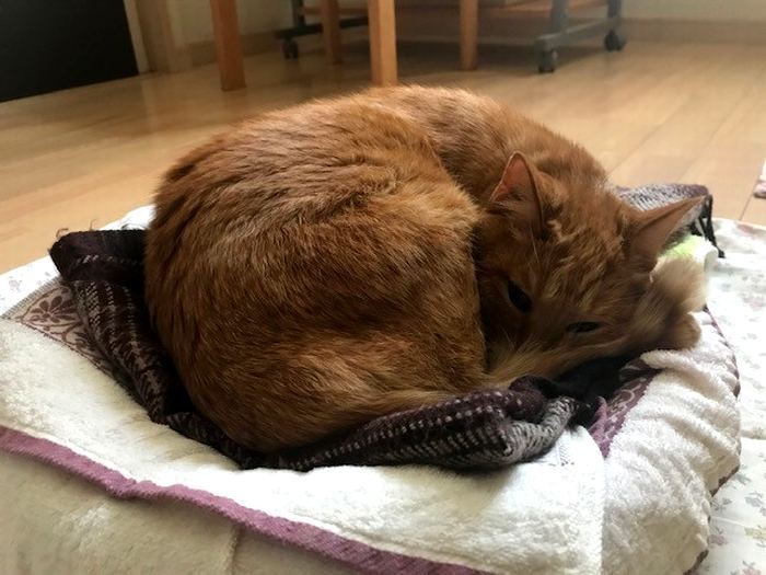 安心できるんでしょうね