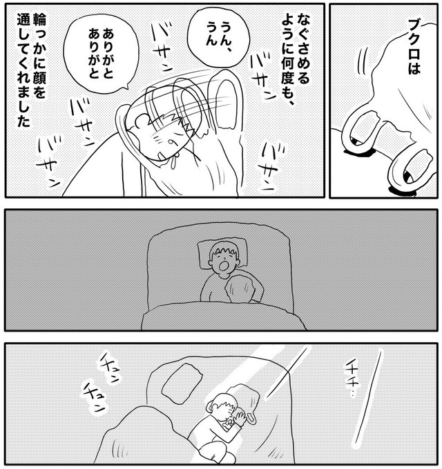寄り添うようにして眠るブクロと内海　（ヒロ・コトブキさんの提供）