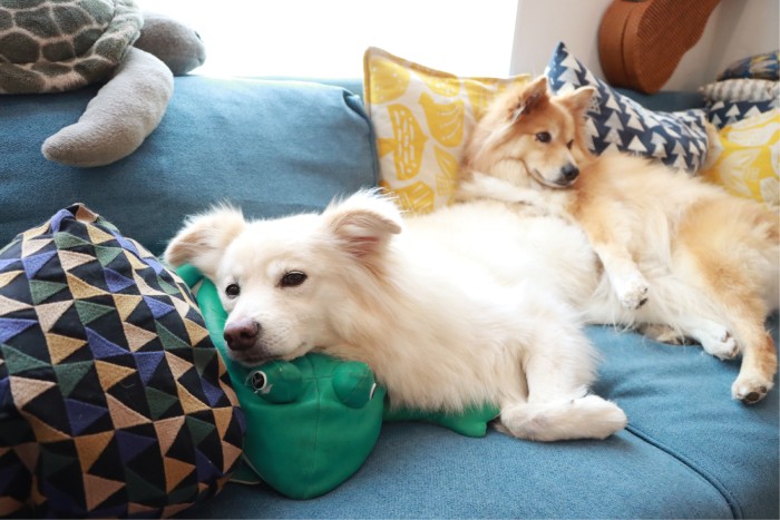 「何？なんか用？」の図