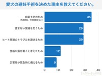 「愛犬の避妊手術」に関するアンケート