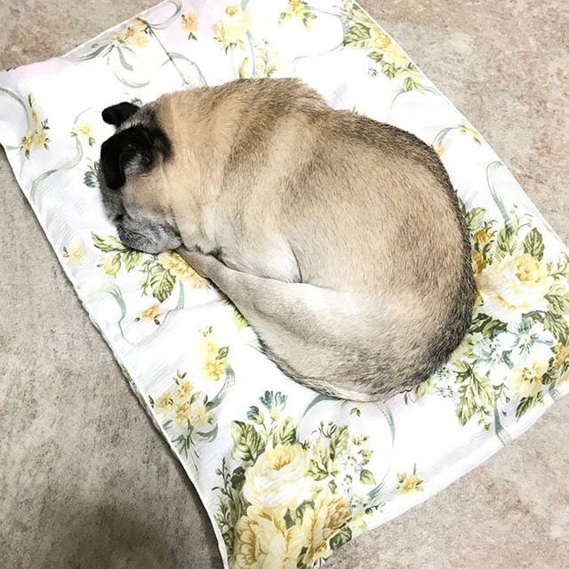 牡蠣（カキ）！（提供写真）