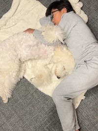 福ちゃんの隣で寝転ぶと、眠気がきちゃう…？（提供：＠fuku.fukudogさん）