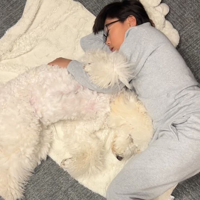 福ちゃんの隣で寝転ぶと、眠気がきちゃう…？（提供：＠fuku.fukudogさん）