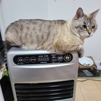 寒くなったらここが一番！