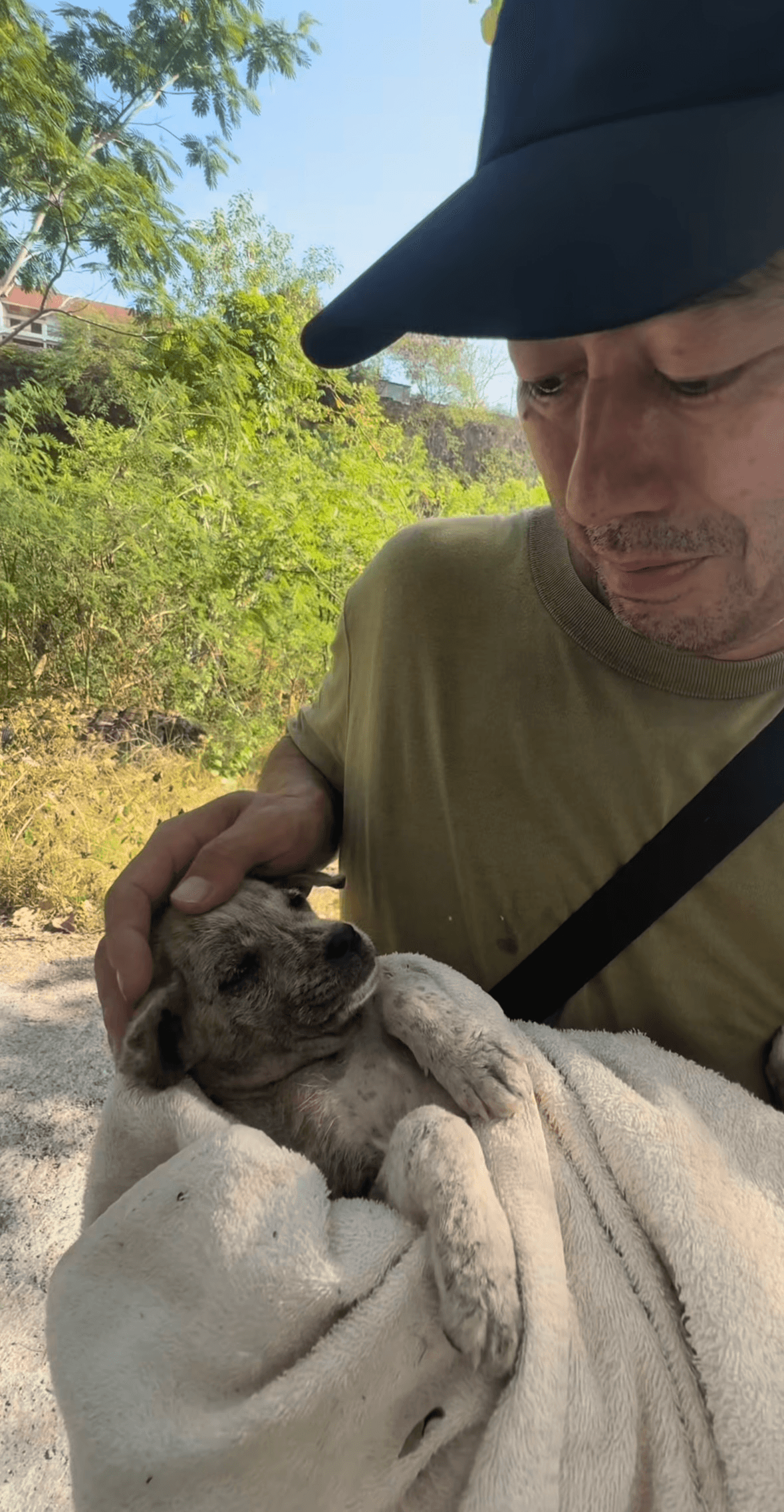 新たに保護した34匹目の仔犬／ぱんはな家さん（@pan._.hana）提供