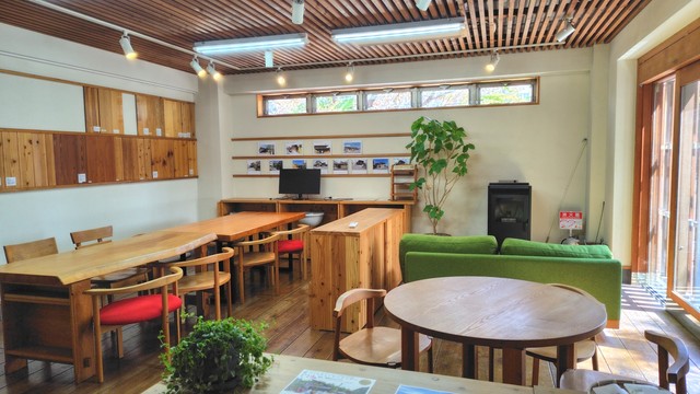 太陽光がたっぷり差し込む店内