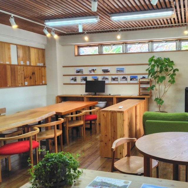 太陽光がたっぷり差し込む店内