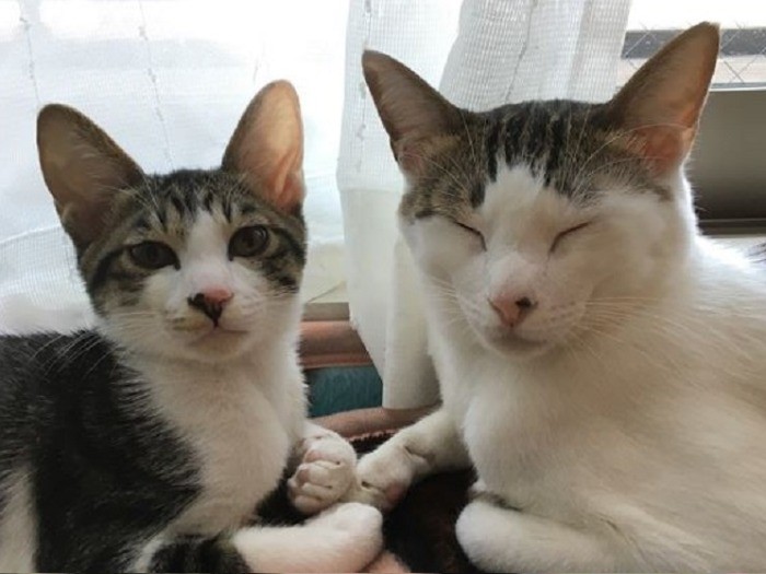 雷蔵くんとツーショット