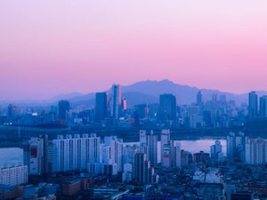 海外経験で募った日本への愛憎。醜くも愛すべき祖国への1つの愛の形