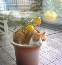 いろんな表情を見せてくれるぷりんちゃん