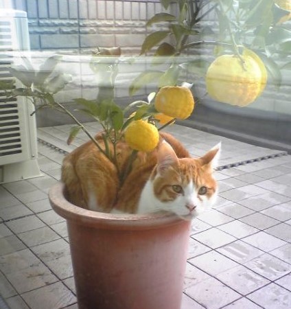 いろんな表情を見せてくれるぷりんちゃん