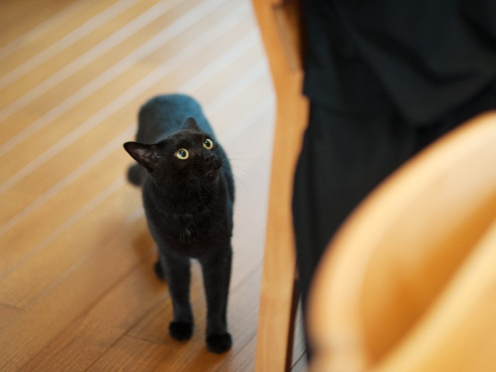 「ねえお母さん、僕の話きかないの？」（小林写函撮影）