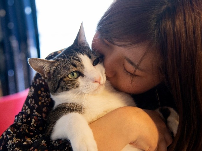 ここが最後のおうちだよ、みんなで幸せになろうね