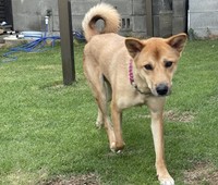 蓮ちゃんのお父さん・カイ（写真提供＝エクアルライフ）