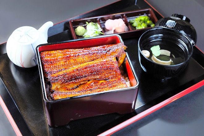 Japan to vote against CITES trade restrictions for all eel species