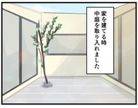 見て！素敵な中庭