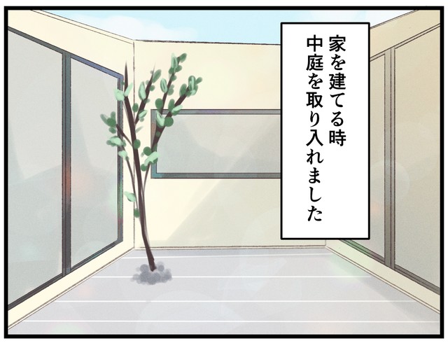 見て！素敵な中庭