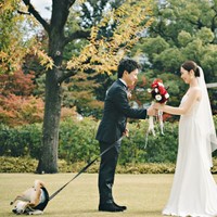 新郎新婦の背後でーーゴロンと転がるころっけくん（画像提供：Threads／@north_017さん）