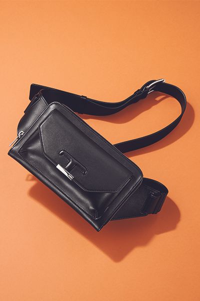 article_散歩の相棒　400_1