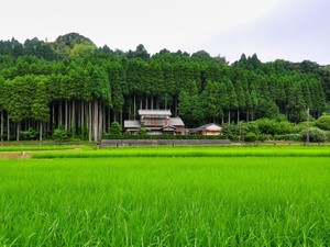 いらない田舎の家を処分する方法