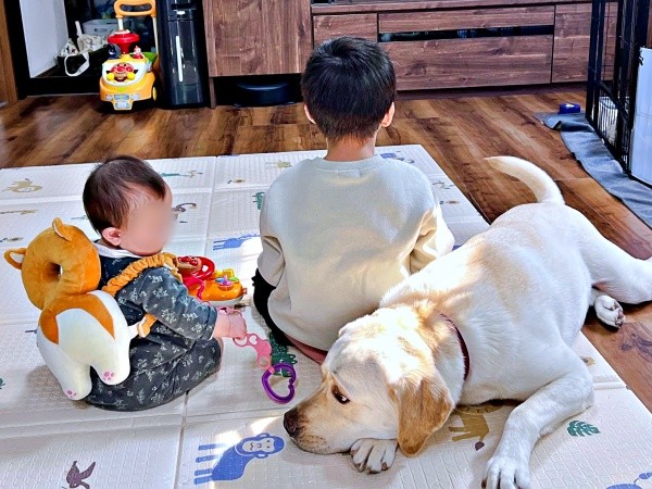 きょうだい一緒に仲良く過ごすテリーくん（画像提供：テリー ラブラドールさん）