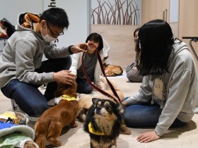 「ねこがよろこぶ活動」で「ねころ部」　生徒が真剣に愛護活動