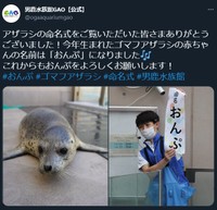 命名式をライブ配信。「おんぷ」は歴代赤ちゃんの中では食いしん坊。喜怒哀楽が分かりやすいタイプなのだそう