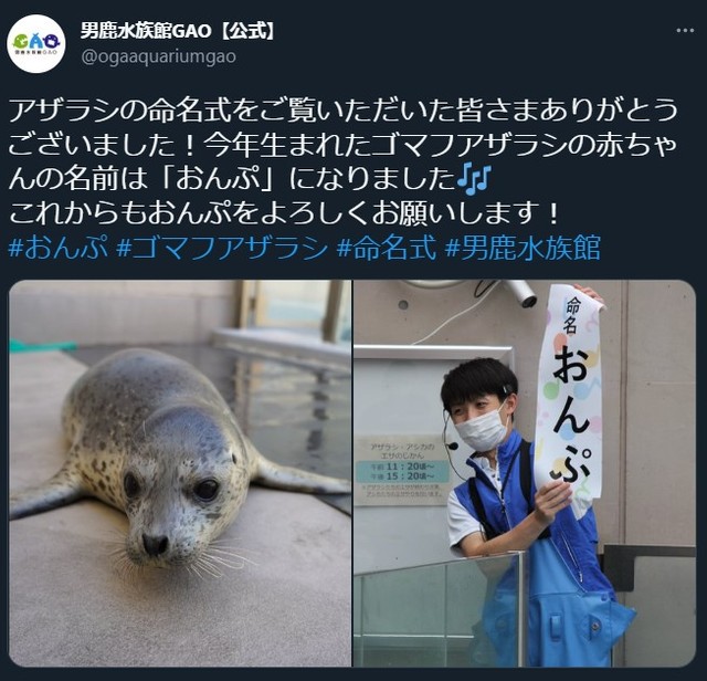 命名式をライブ配信。「おんぷ」は歴代赤ちゃんの中では食いしん坊。喜怒哀楽が分かりやすいタイプなのだそう