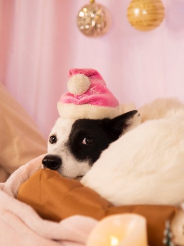 流し目をしたときの白目もかわいい（shouhei fujimoto撮影／granwan!撮影協力）