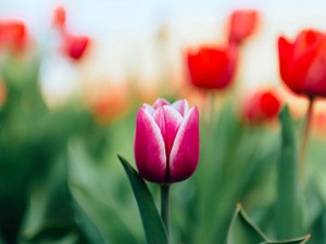 あの時好きな人と手を繋いだという事実が、私にとって唯一の救い