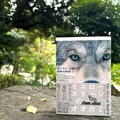クマ被害の時代に、生き物たちの環境を考える――『イエローストーンのオオカミ』