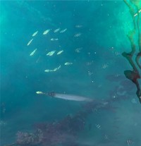 魚の影がはっきりと見えるほどのこの青さ（提供：たびぼっち🏕車中泊＆キャンパーさん）