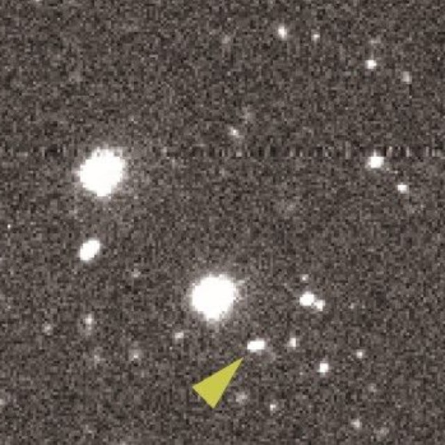藤井さんが発見した小惑星「Ｄａｉａｎｊｉ」（矢印の先の小さい点）＝ＣＯＩＡＳ開発チーム、国立天文台提供