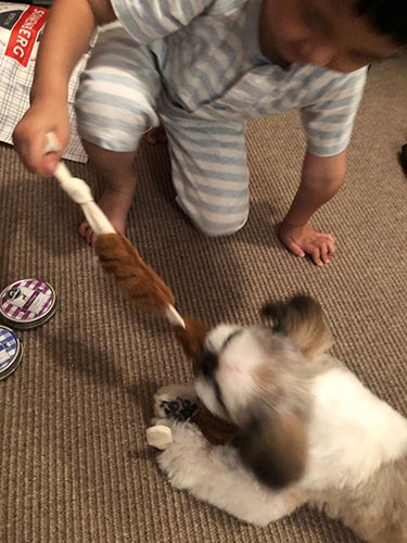 「ぼくがもらった　おみやげ～」