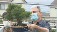 海外バイヤー招き「盆栽」の商談会　小西松楽園　高松市鬼無町佐藤