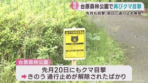 仙台・台原森林公園でクマ目撃　５月の目撃による通行止めが解除になったばかり