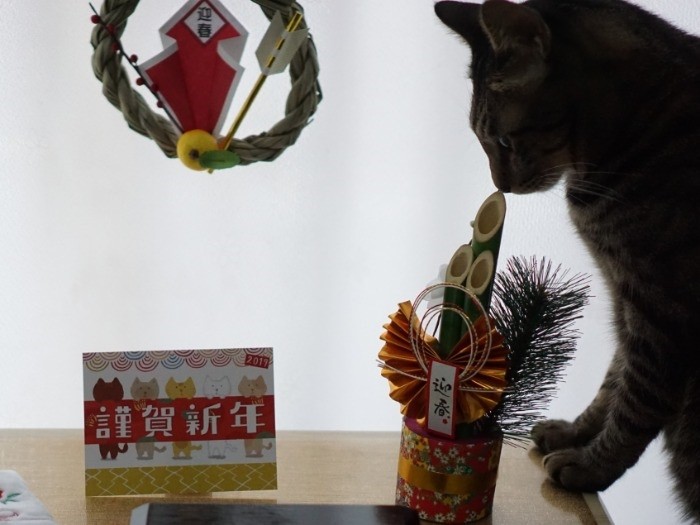 今年も楽しいことがありますように