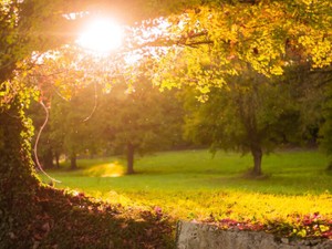 27年住んでいた地元を離れ、新たな土地でふるさととの距離感を思う